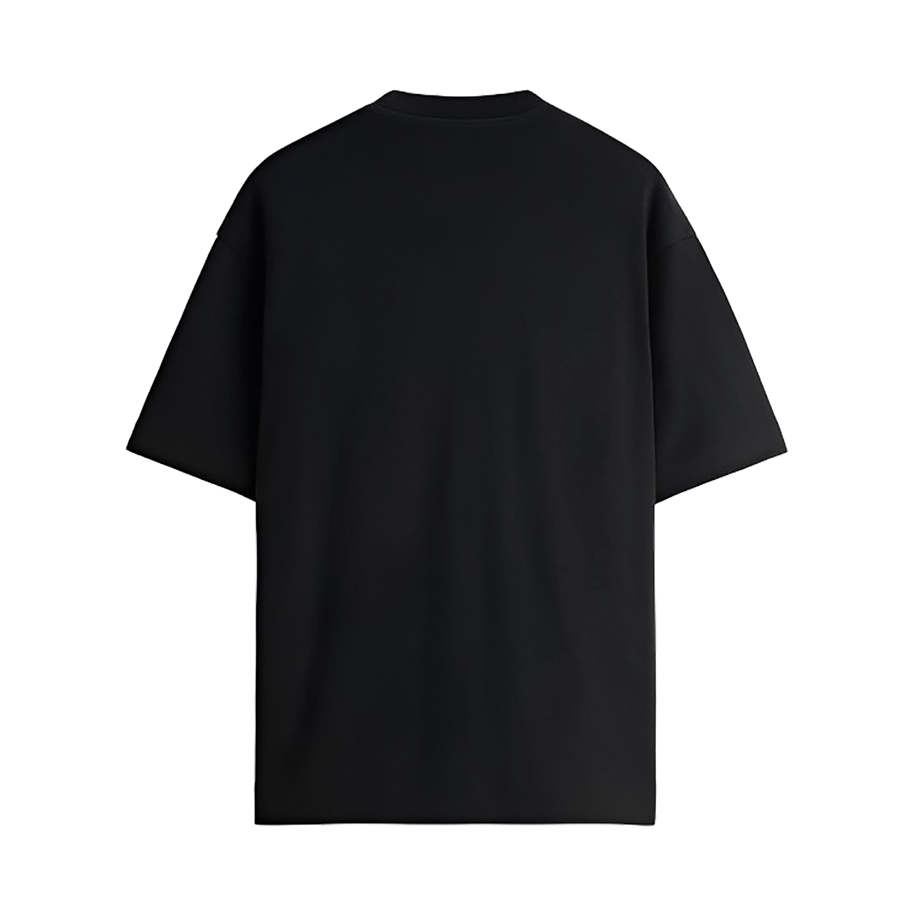 PLAYERA NEGRA -AMBI BOY HOJAS BORDADO